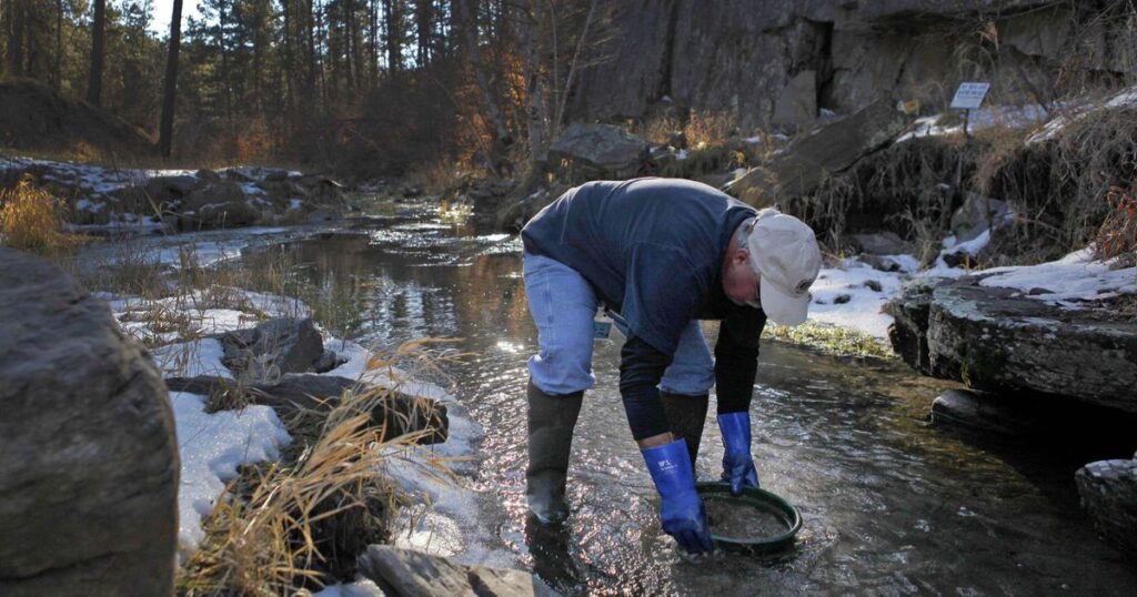 Environmental Stewardship in Gold Panning