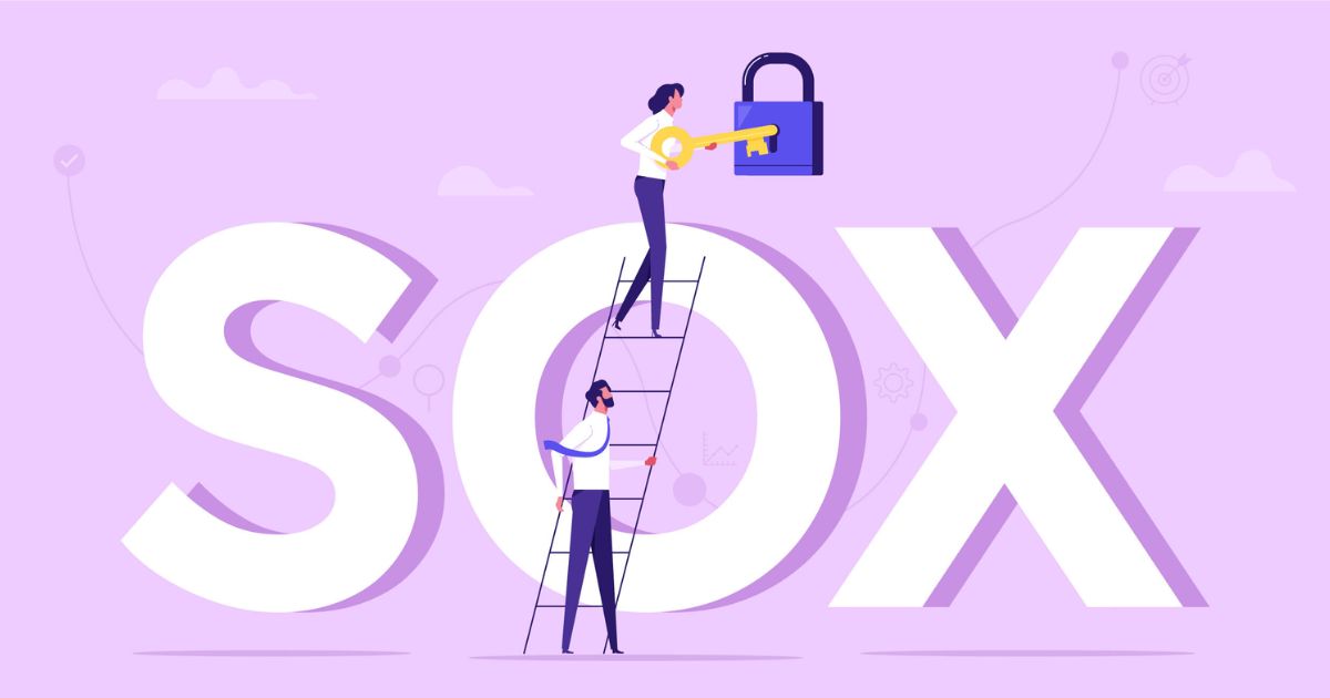 the Role of an IT SOX Manager (1)